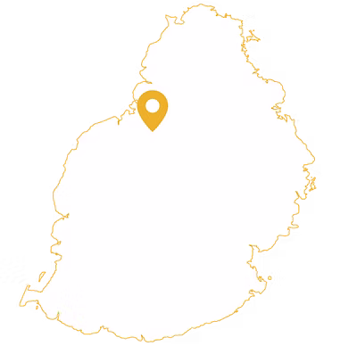 Mauritius office region